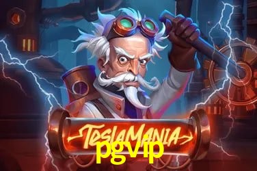 Cadastro Rápido pgvip